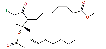 12-O-Acetyliodovulone III